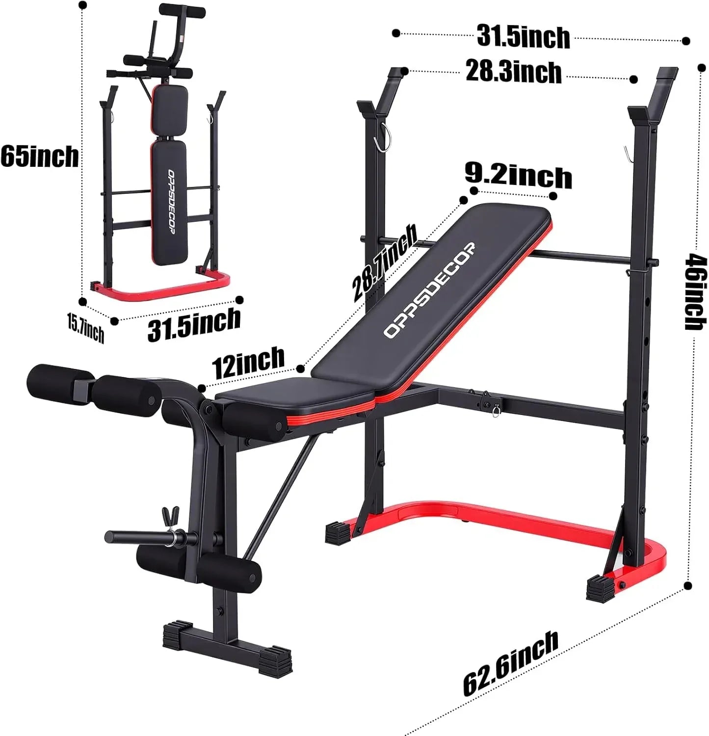 Bodybuilder doing bicep curls on adjustable weight lifting bench with preacher pad